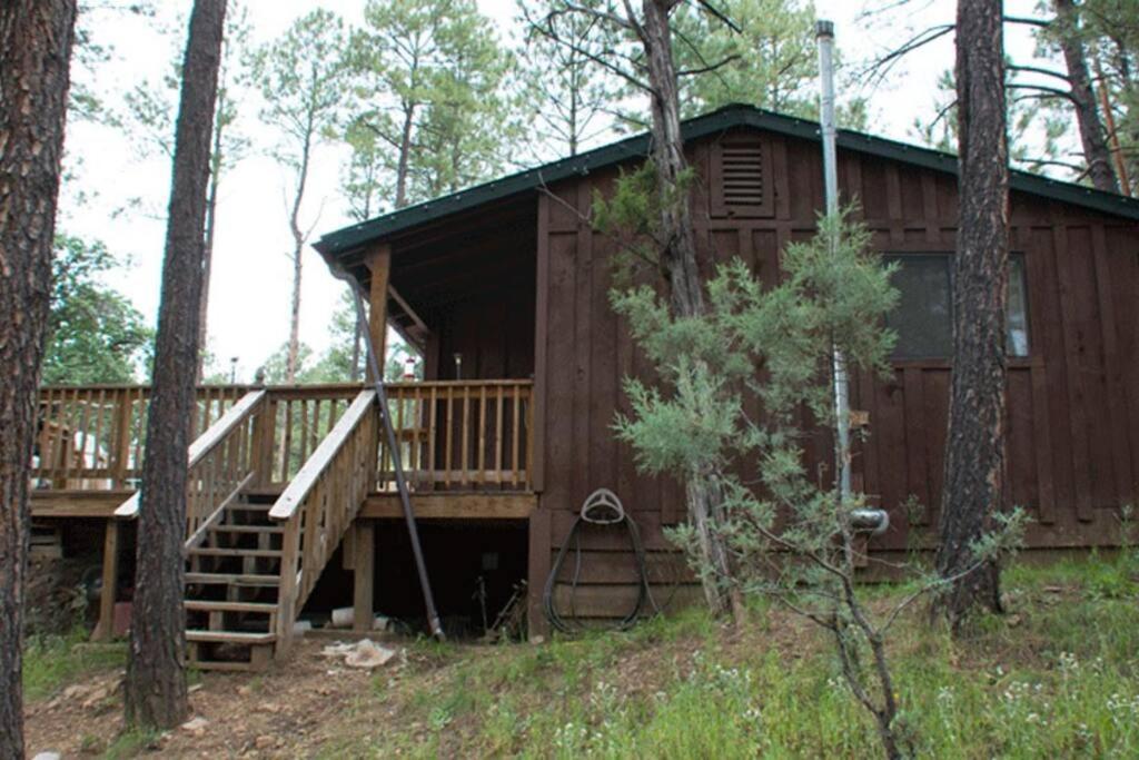 Beary Comfy Cabin Руідозо Екстер'єр фото
